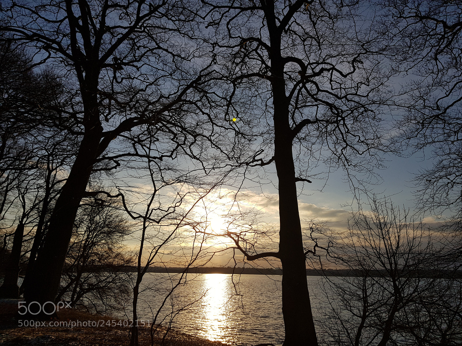 Samsung Galaxy S8+ sample photo. Untitled photography