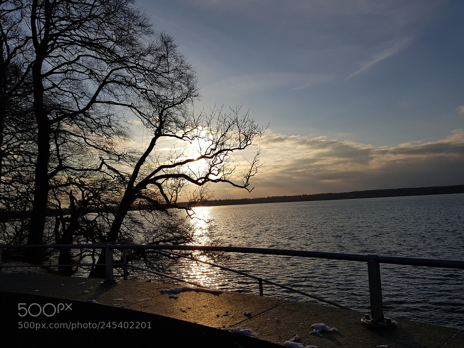 Samsung Galaxy S8+ sample photo. Untitled photography