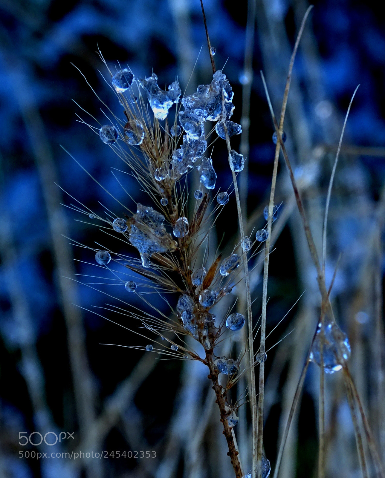 Sony Cyber-shot DSC-HX400V sample photo. I feel the ice photography