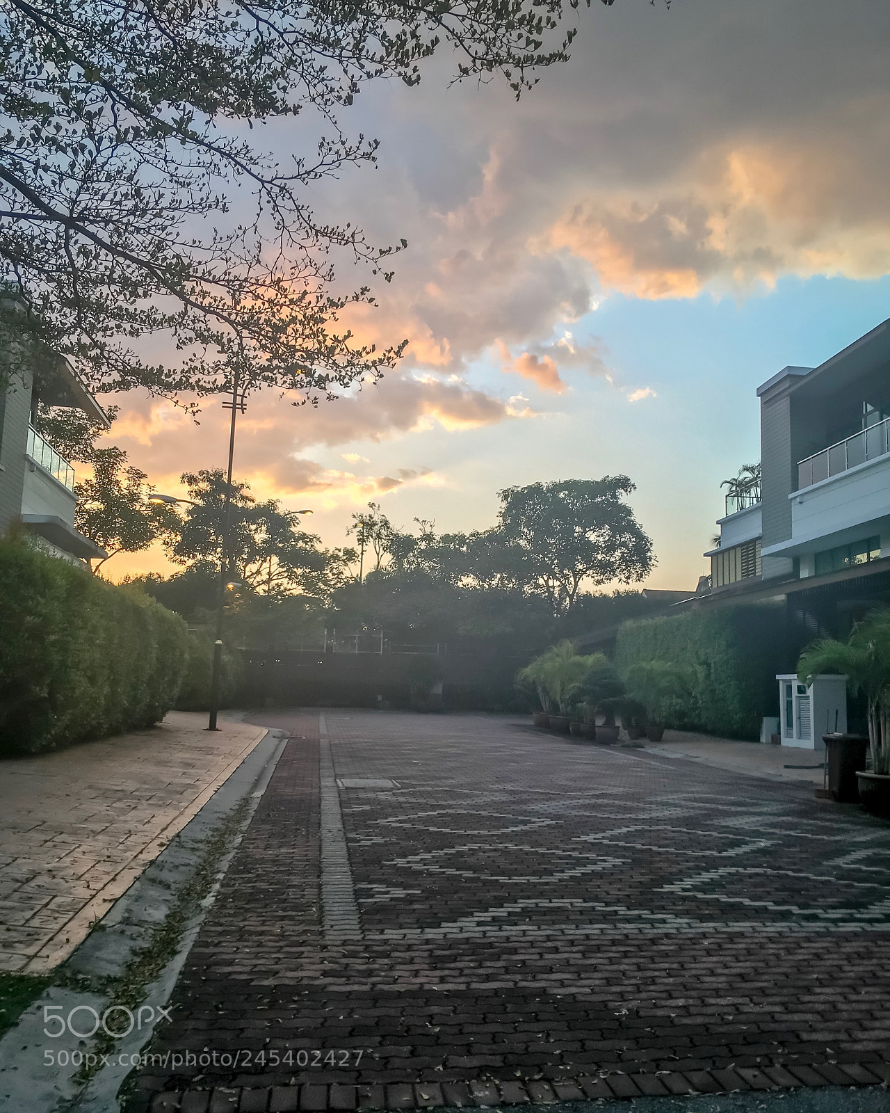 Apple iPhone SE sample photo. Golden hour photography