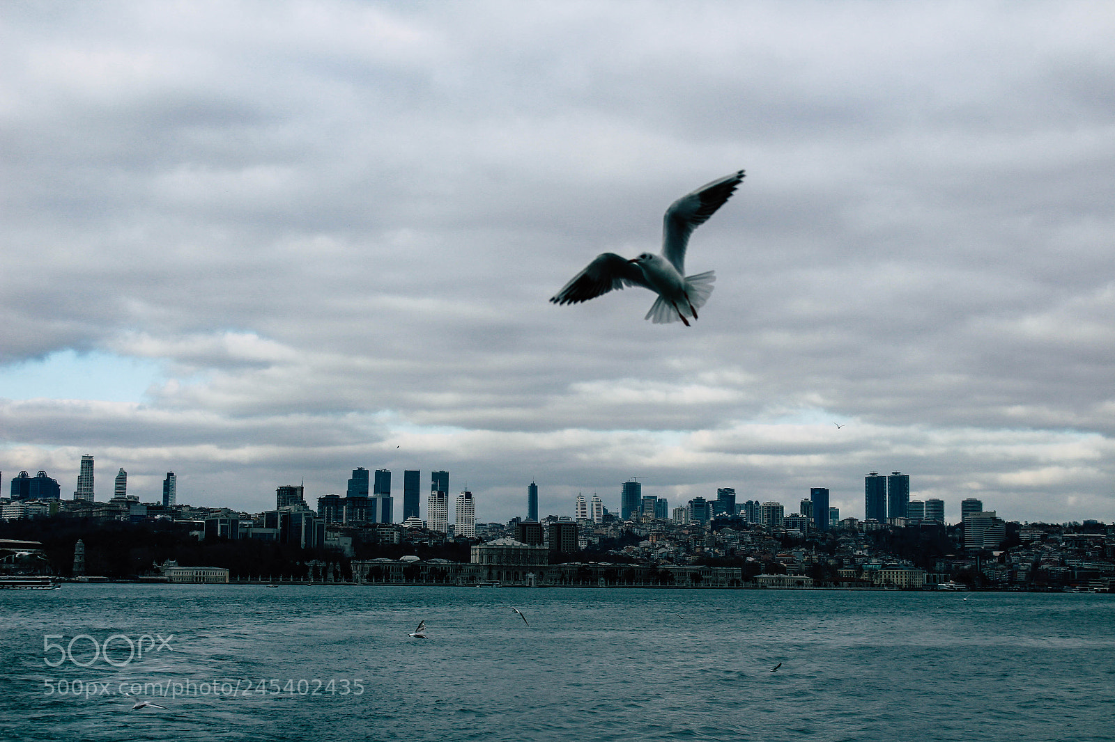 Canon EOS 1300D (EOS Rebel T6 / EOS Kiss X80) sample photo. Istanbul photography