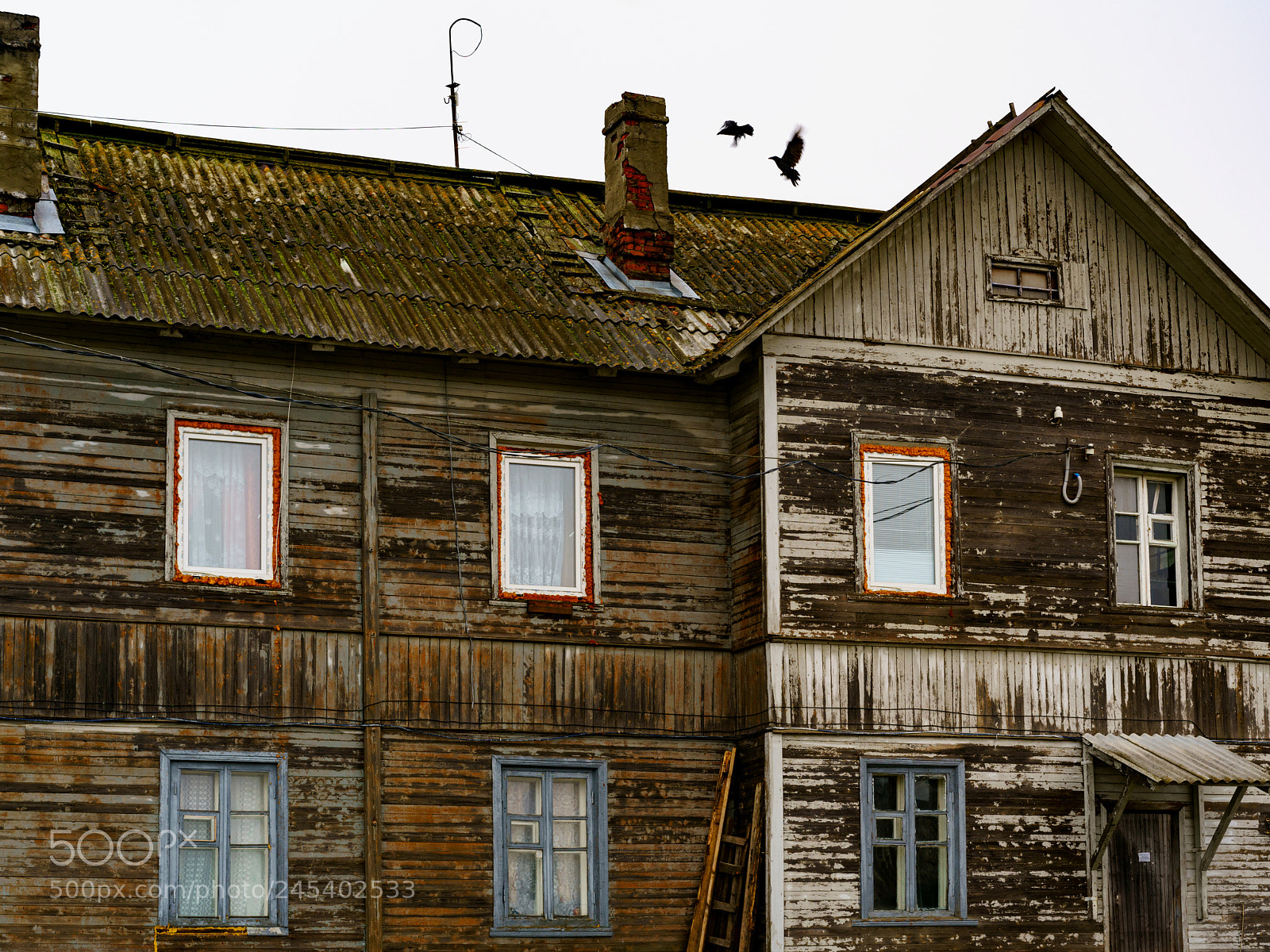 Sony a7R II sample photo. Solovki 3. photography