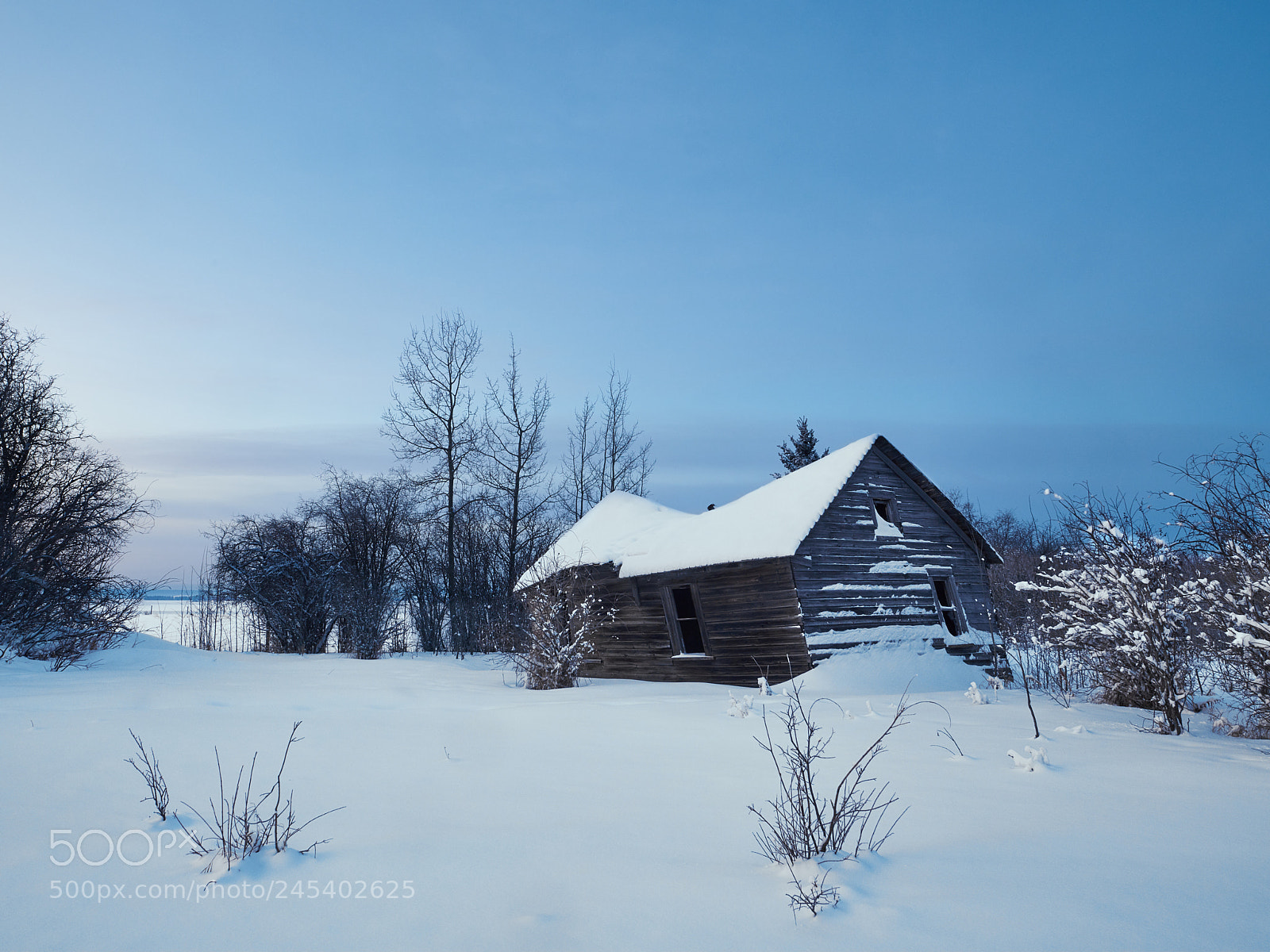 Nikon D850 sample photo. Predawn winter abandoned house photography