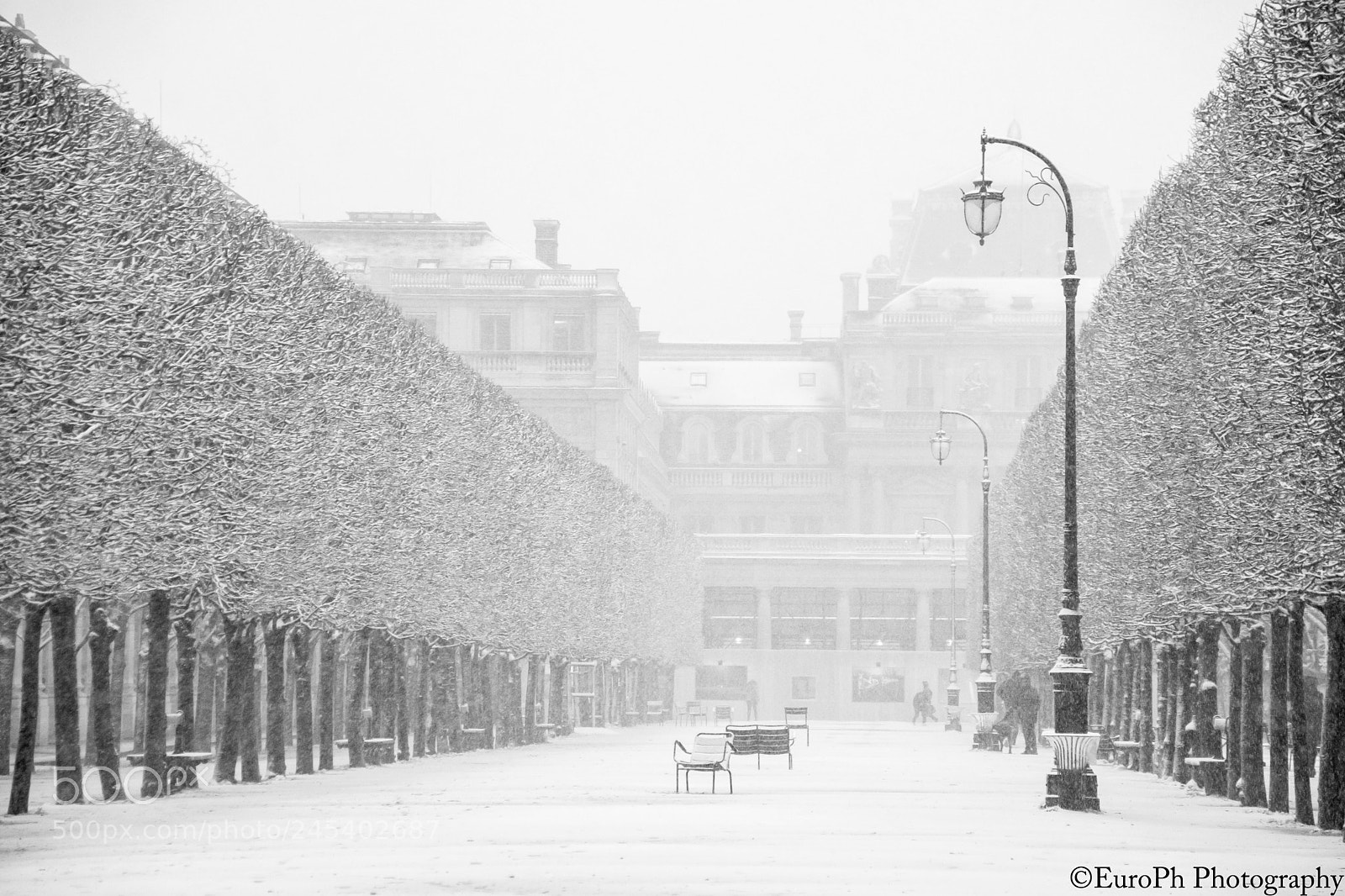 Nikon D7100 sample photo. Vive la neige photography