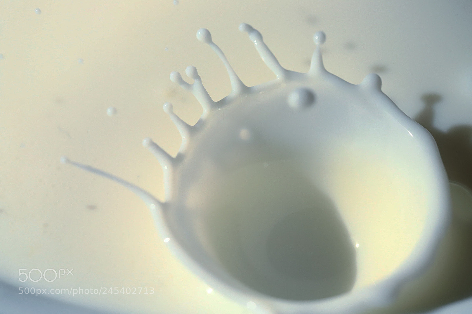 Canon EOS 6D Mark II sample photo. Milk crown photography