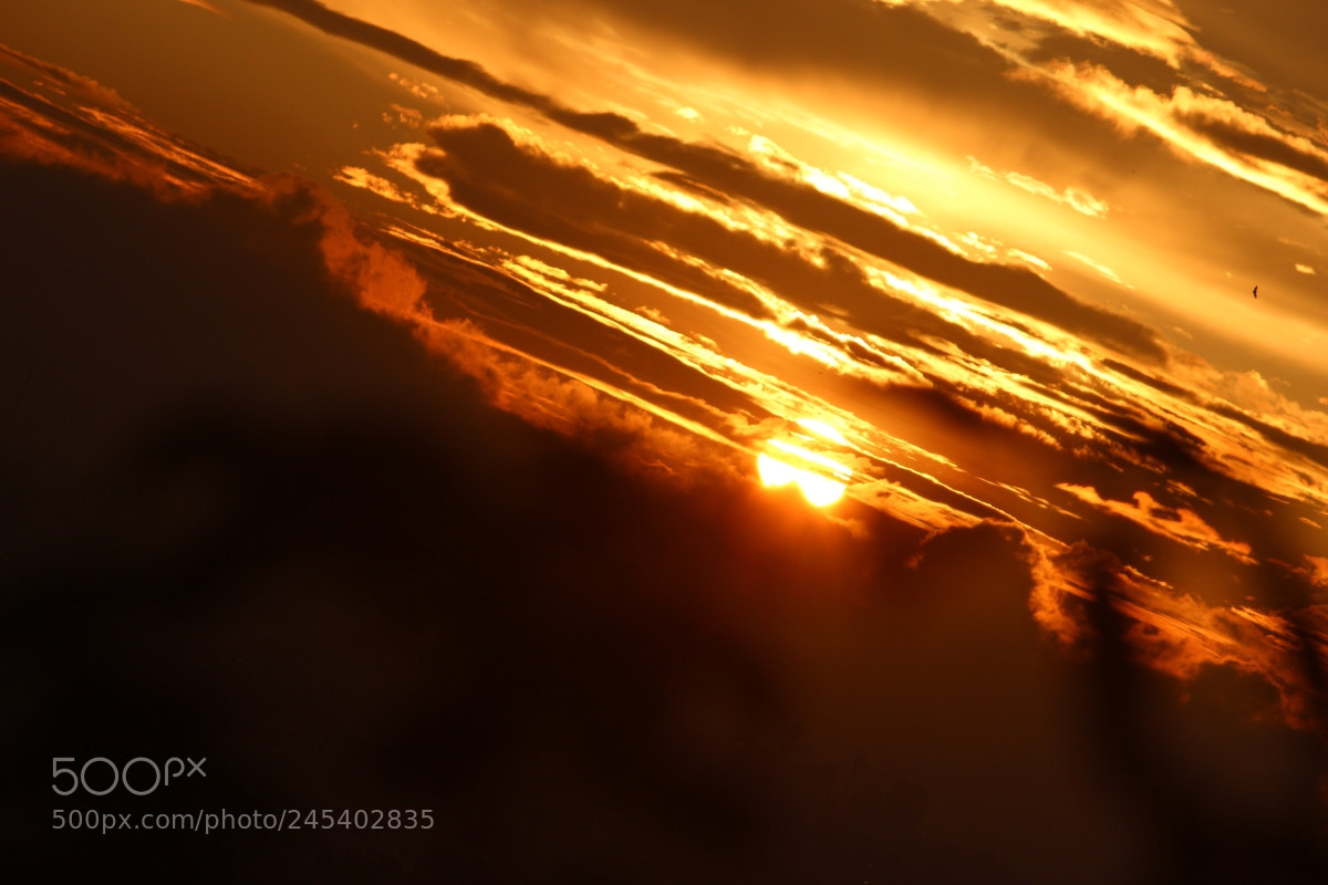 Canon EF-S 55-250mm F4-5.6 IS II sample photo. Orange sunset photography