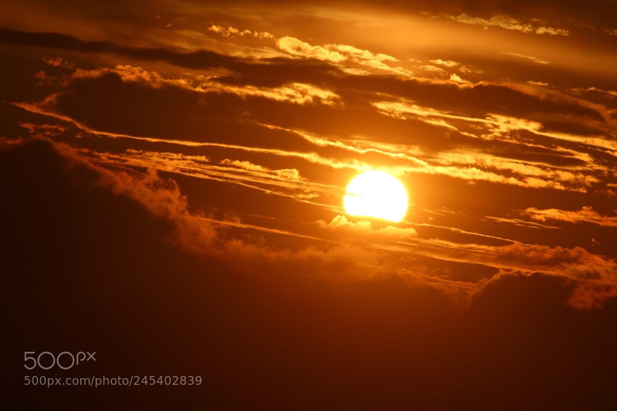 Canon EF-S 55-250mm F4-5.6 IS II sample photo. Orange sunset photography