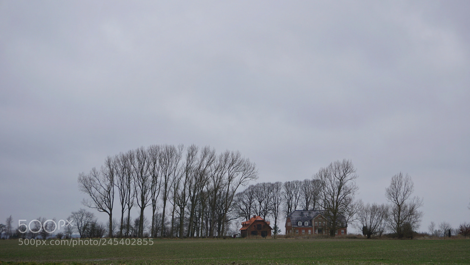 Sony a6000 + Sony E 18-50mm F4-5.6 sample photo. Winter sky photography