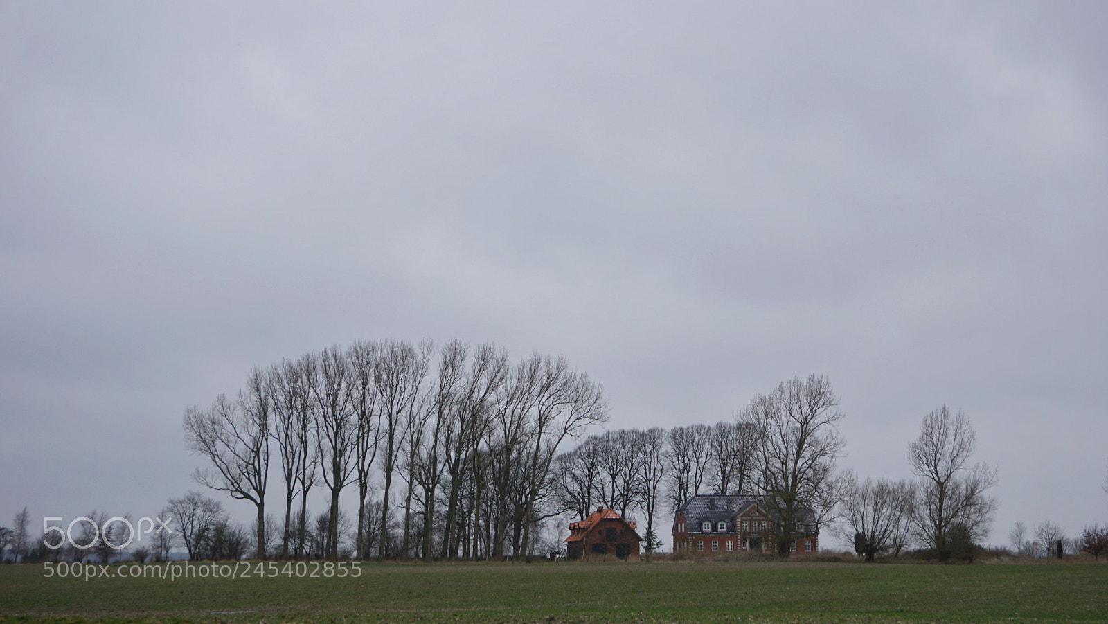 Sony a6000 sample photo. Winter sky photography