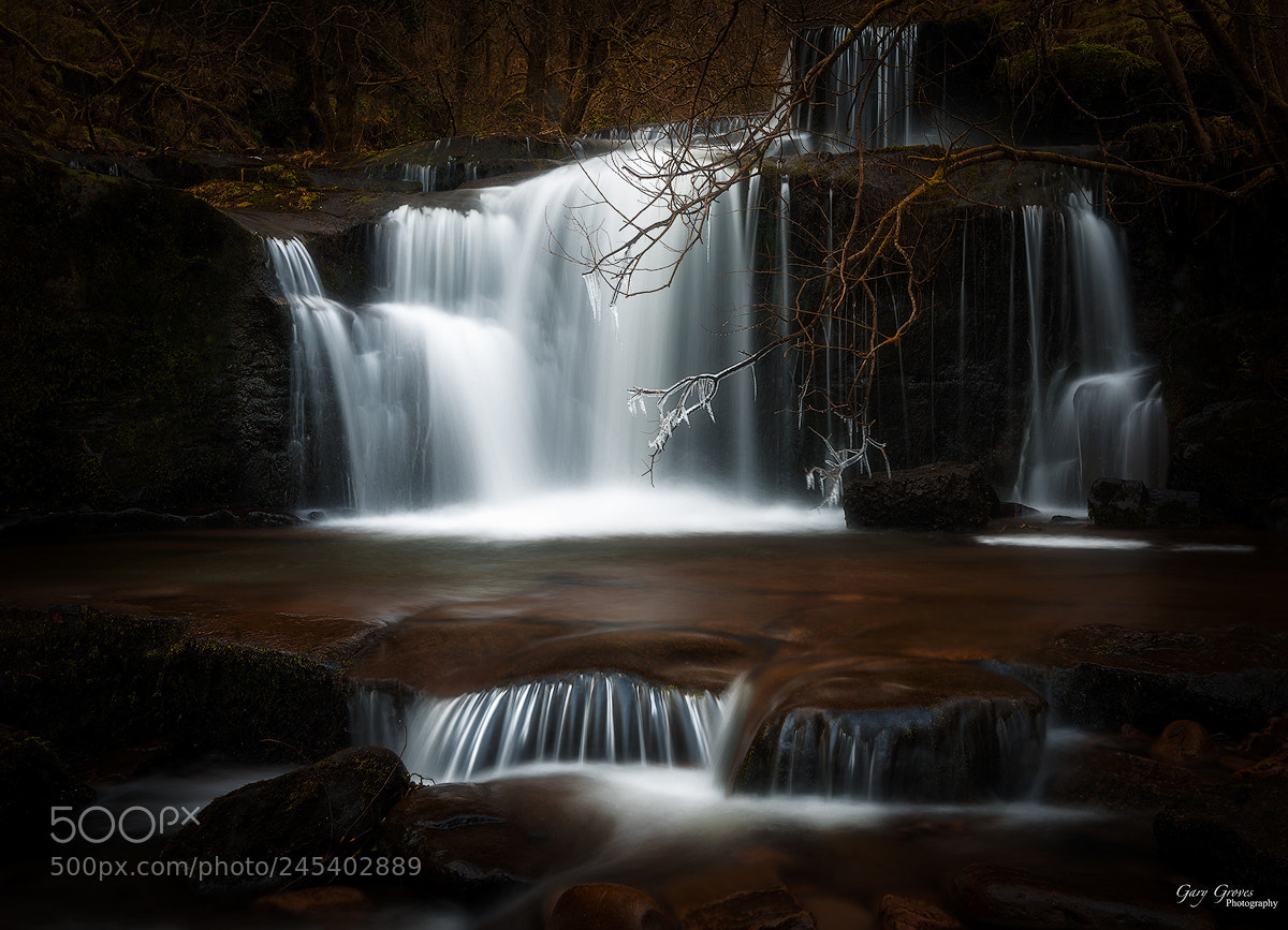 Nikon D810 sample photo. Icicle fall's photography