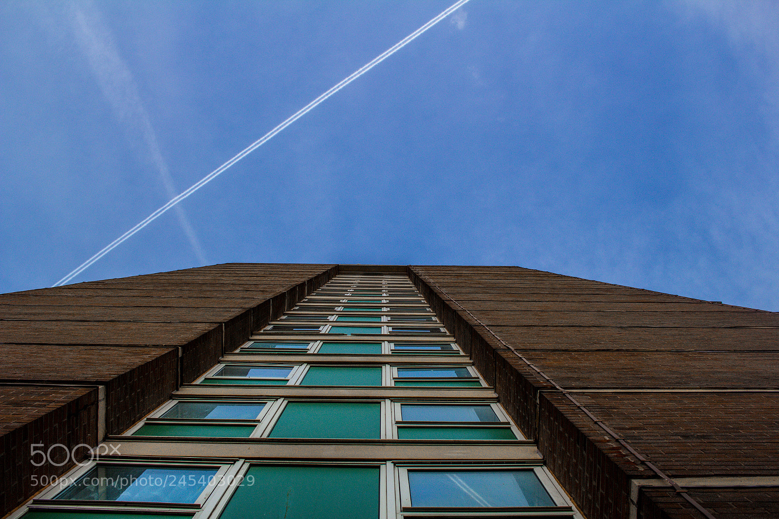 Canon EOS 60D sample photo. Looking up photography