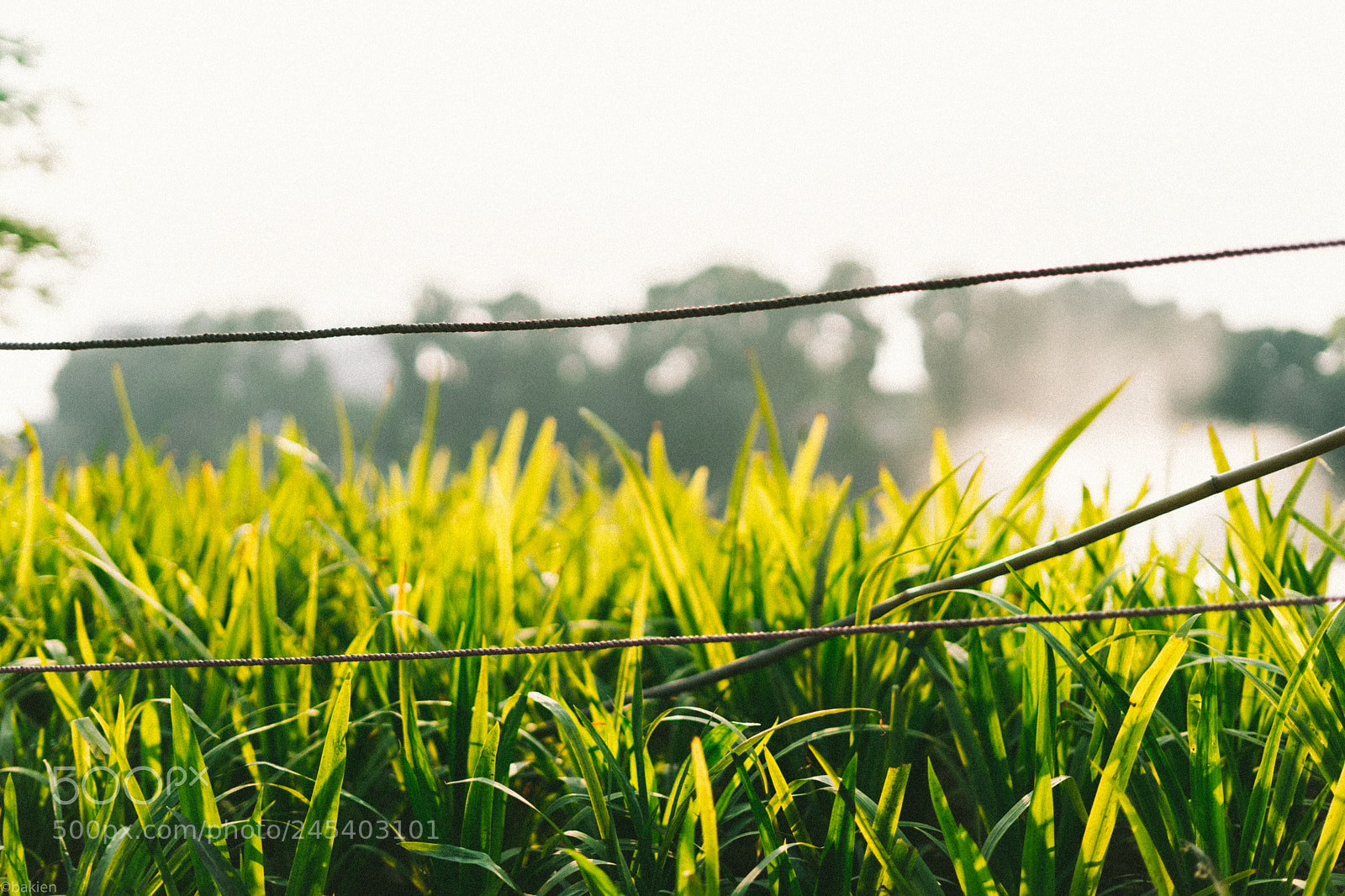 Sony a7 sample photo. Mood photography