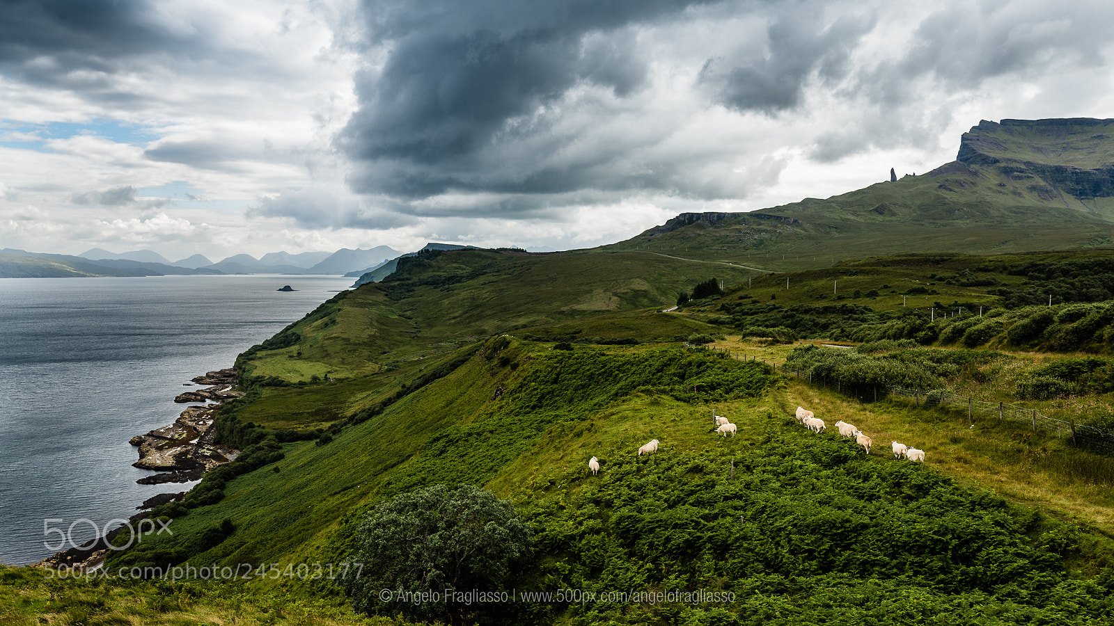 Nikon D800 sample photo. Ship, mountain 'n' sea photography