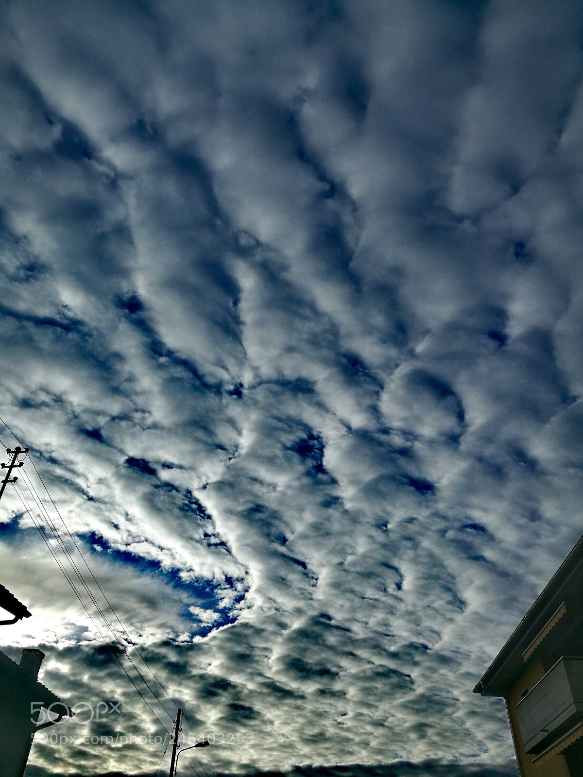 HUAWEI Honor 8 sample photo. Untitled photography