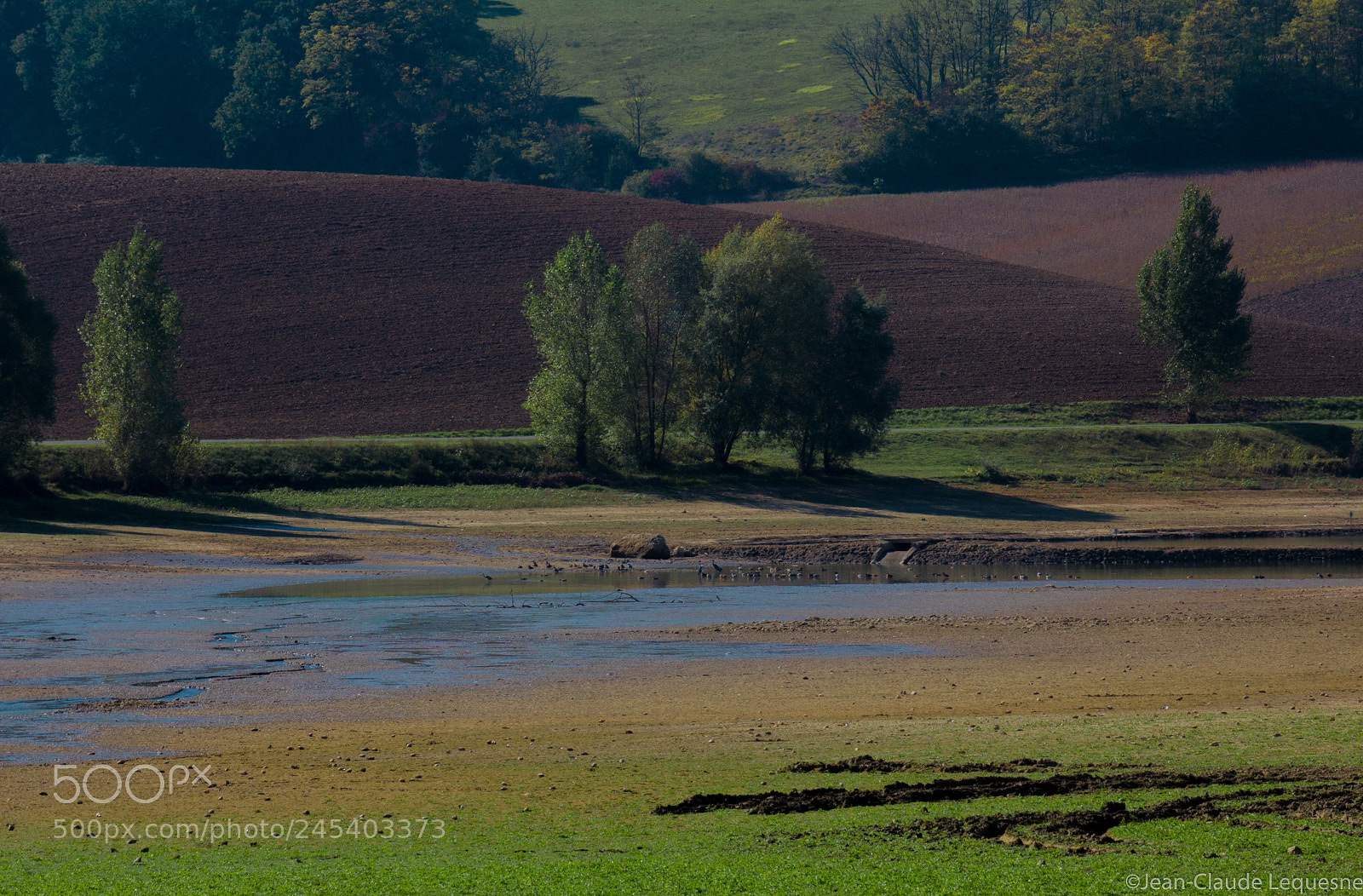 Canon EOS 60D sample photo. Autour du lac 17 photography