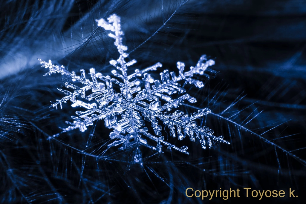 500px.comのKousuke Toyoseさんによる雪の結晶