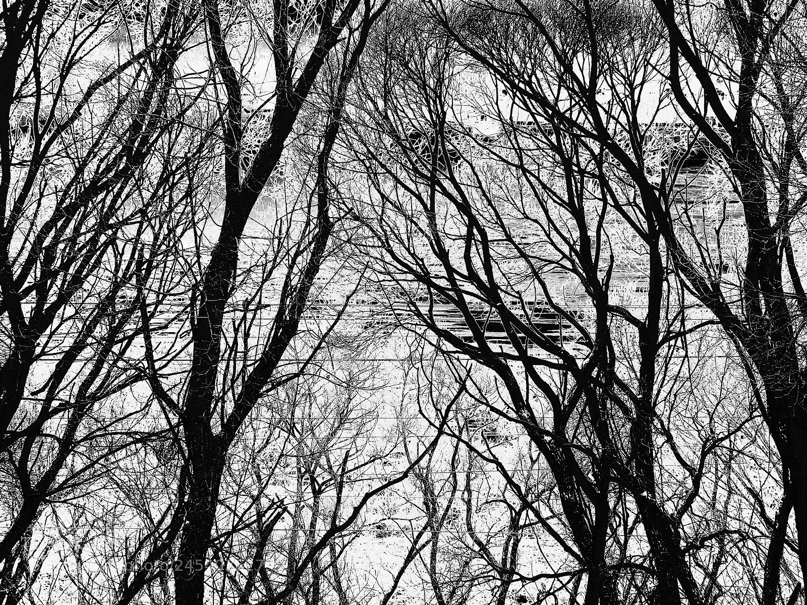 Fujifilm X20 sample photo. Кружева lace photography