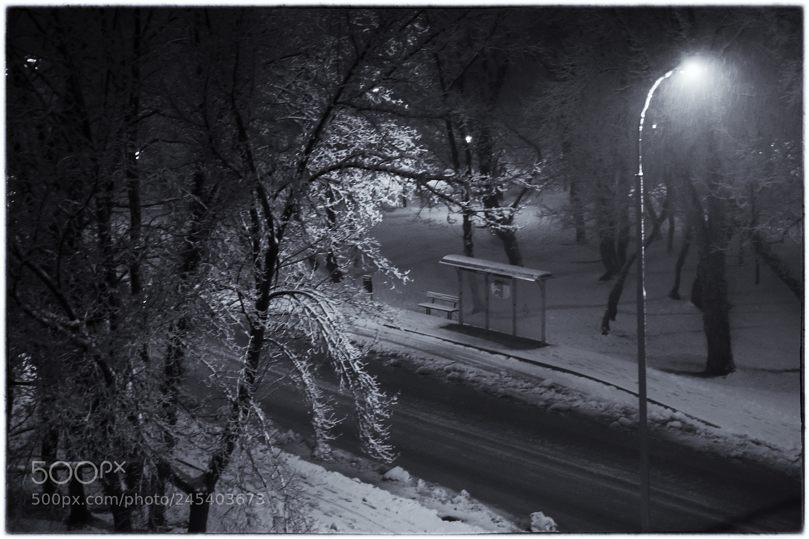 Canon EOS 40D sample photo. From my window photography