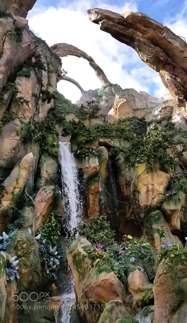 Samsung Galaxy S8+ sample photo. Pandora photography