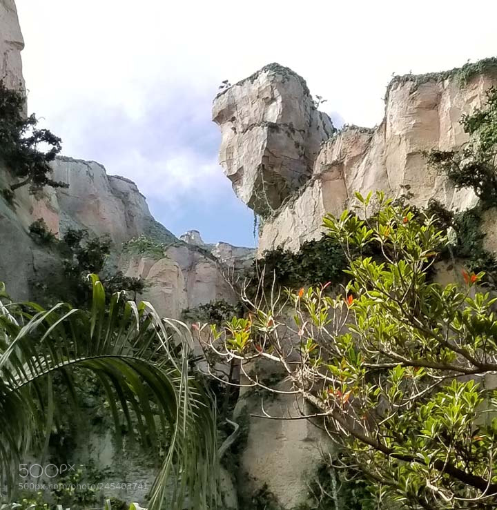 Samsung Galaxy S8+ sample photo. Pandora photography