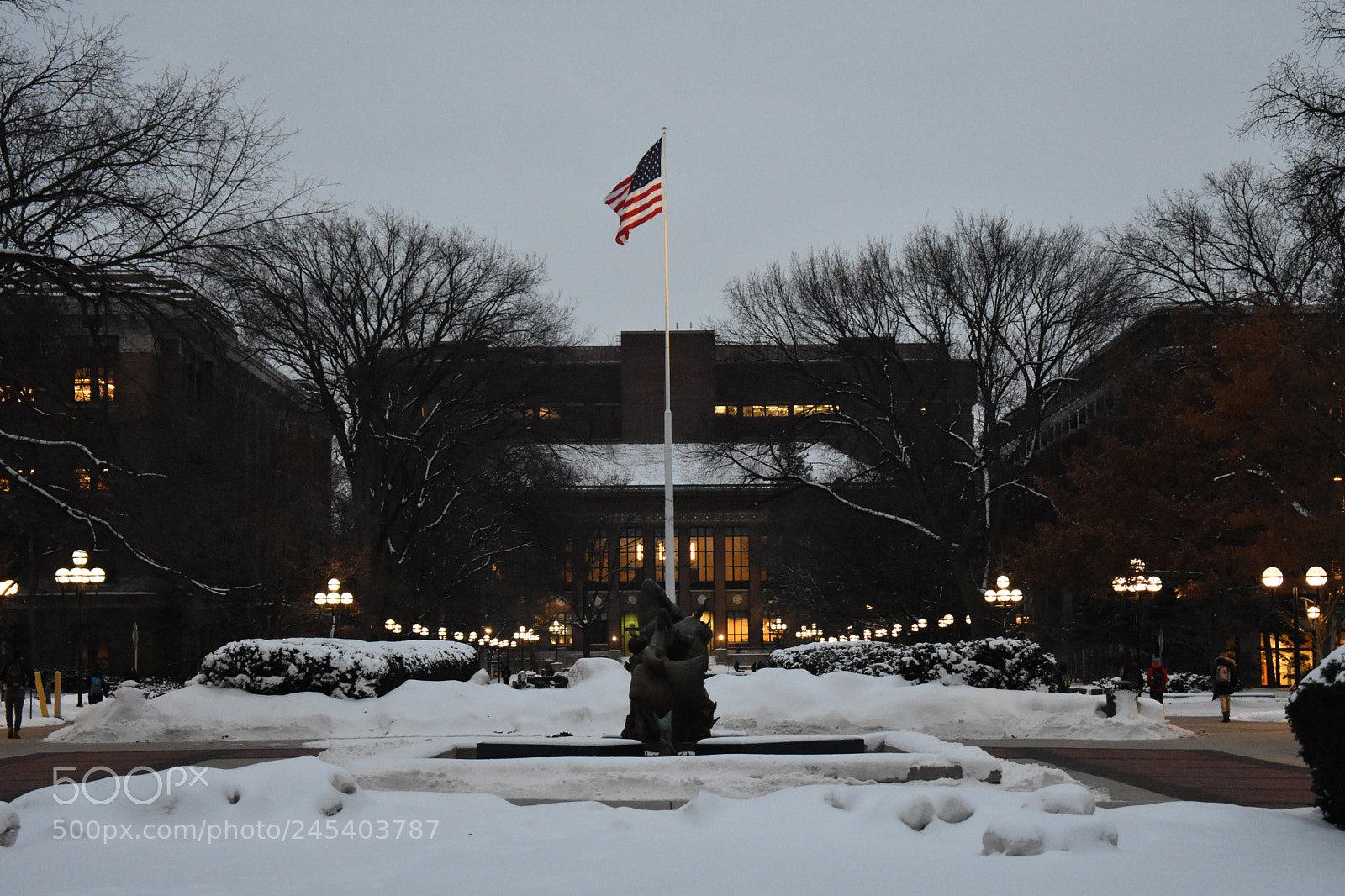 Nikon D3400 sample photo. University of michigan photography