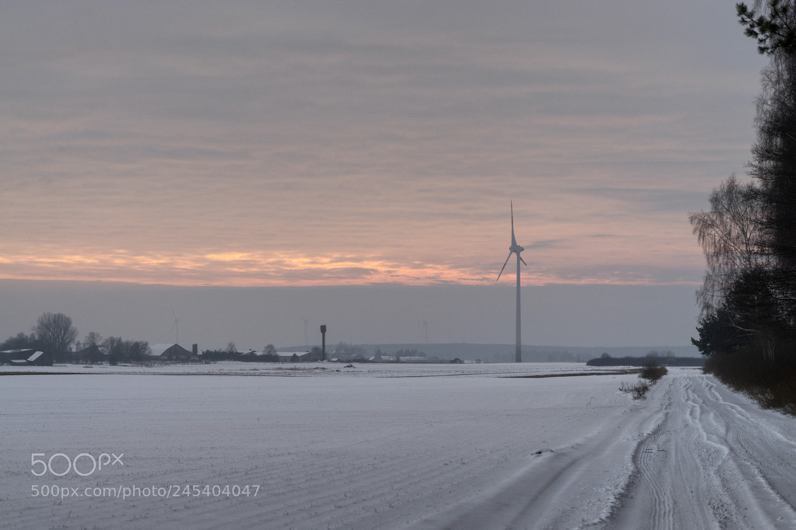 Sony ILCA-77M2 sample photo. Winter wonderland photography