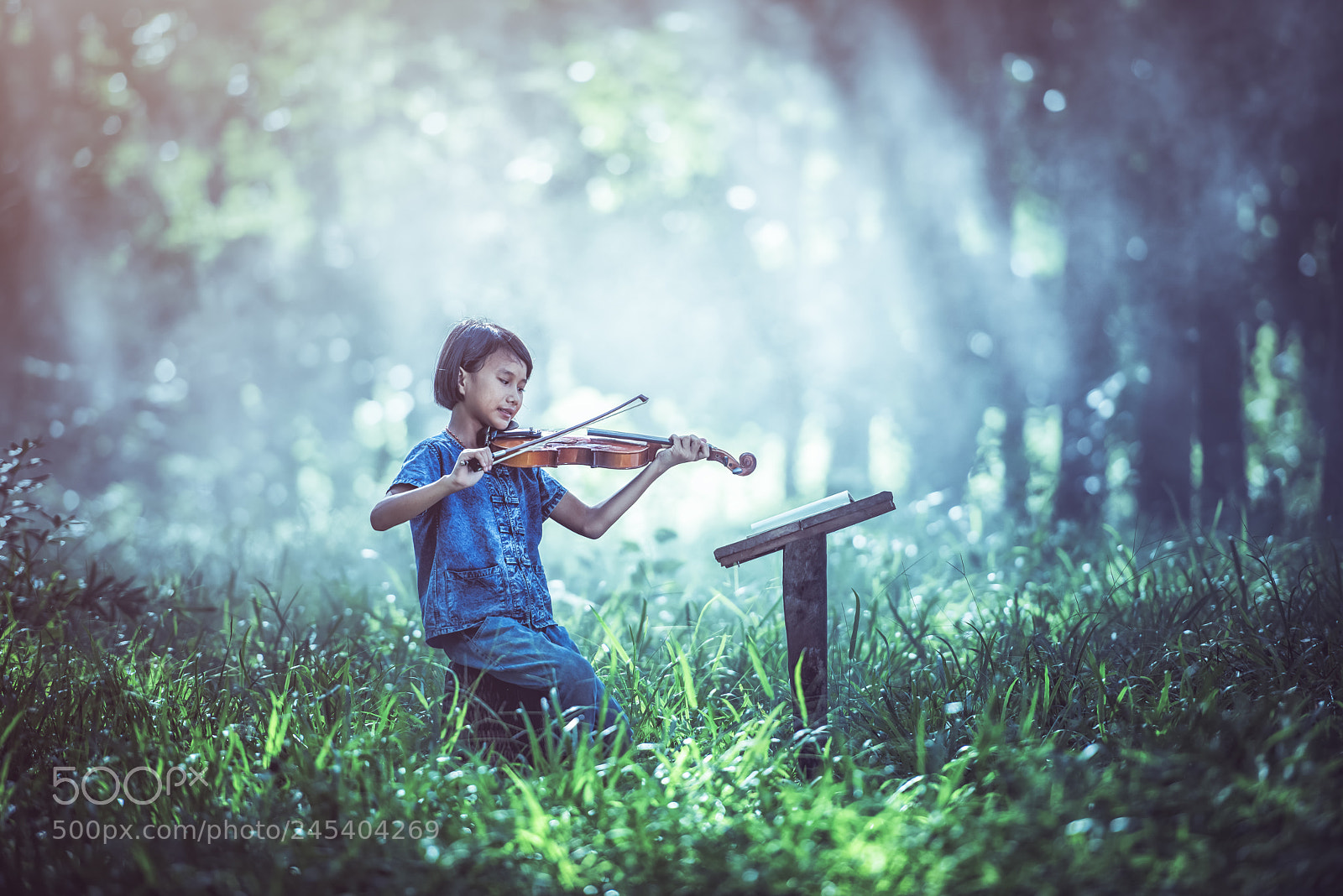 Nikon D810 sample photo. The musical photography