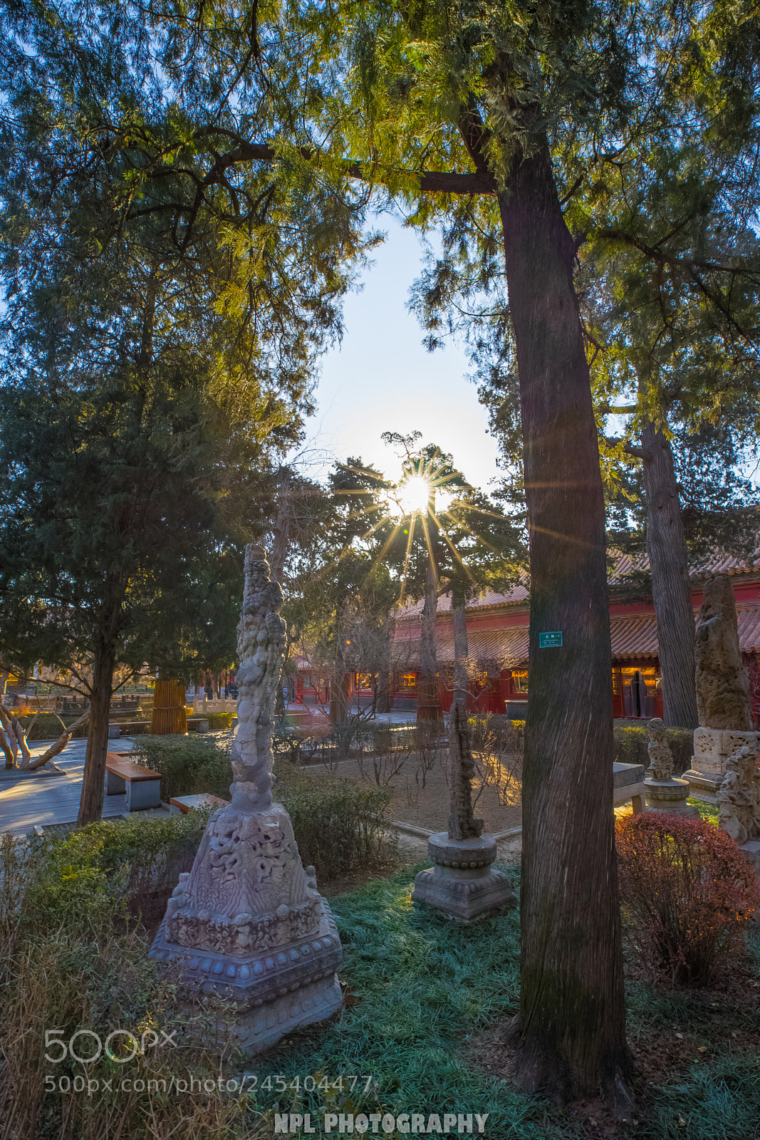 Sony a7 II sample photo. Imperial garden in winter photography