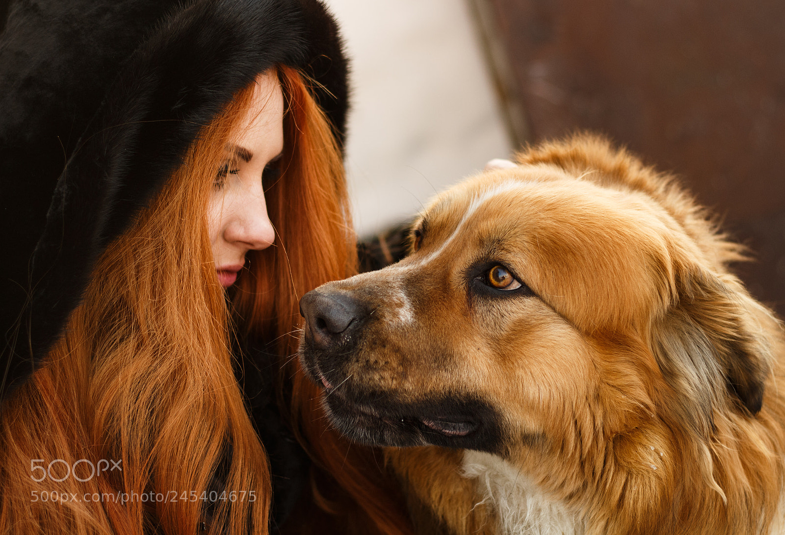 Canon EOS 100D (EOS Rebel SL1 / EOS Kiss X7) sample photo. Alice and garrick photography