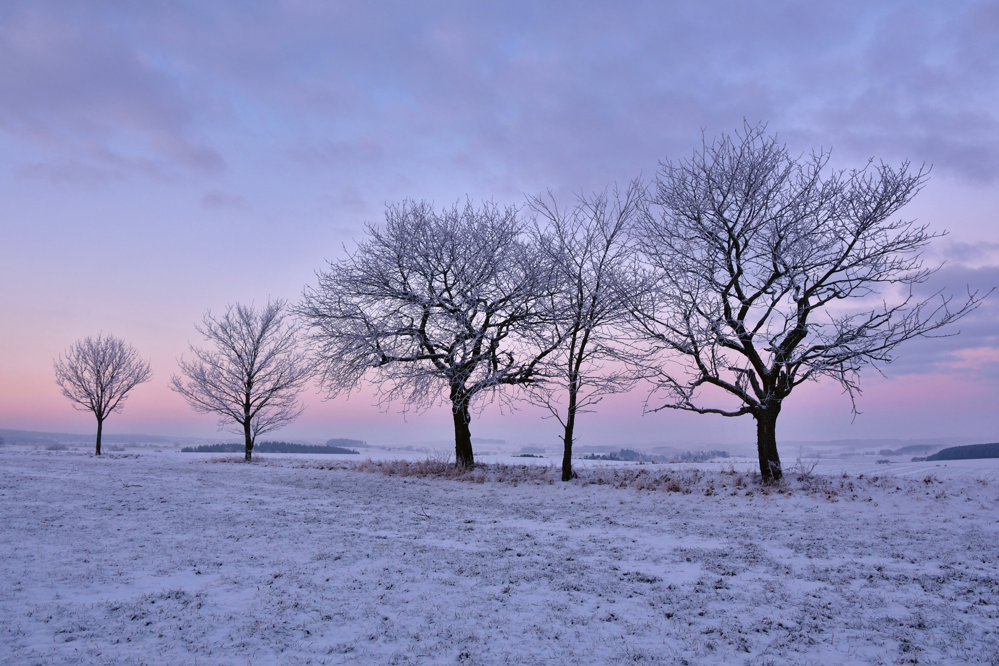 Nikon D500 sample photo. -10 photography