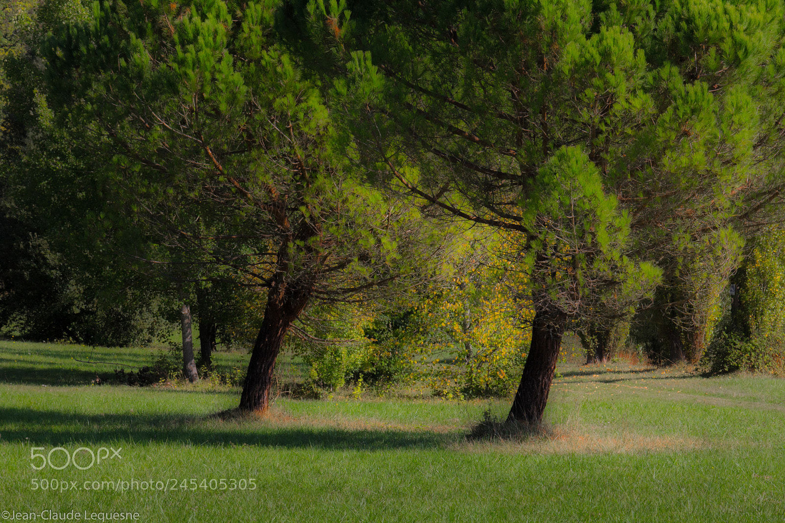 Canon EOS 60D sample photo. Countrys side 73 photography
