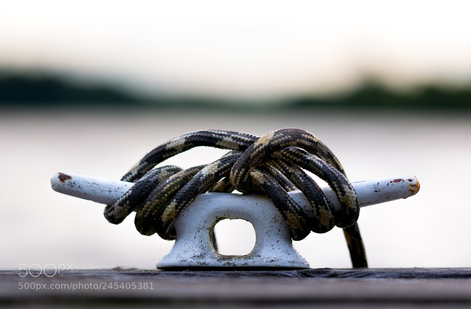 Nikon D7100 sample photo. 35620402024.jpg photography