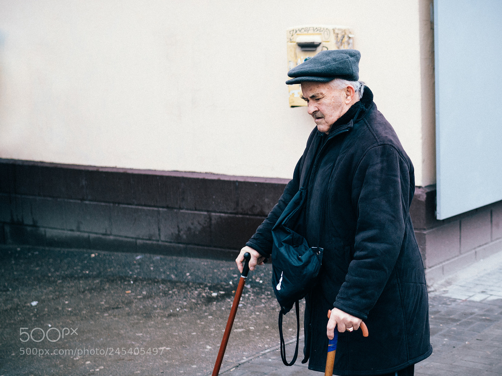 Sony a7R II sample photo. 269/365 photography