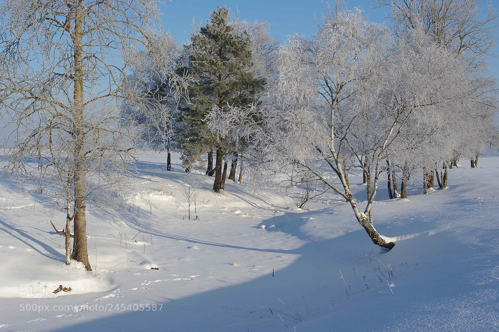 Pentax K20D sample photo. Winter landscfpe photography