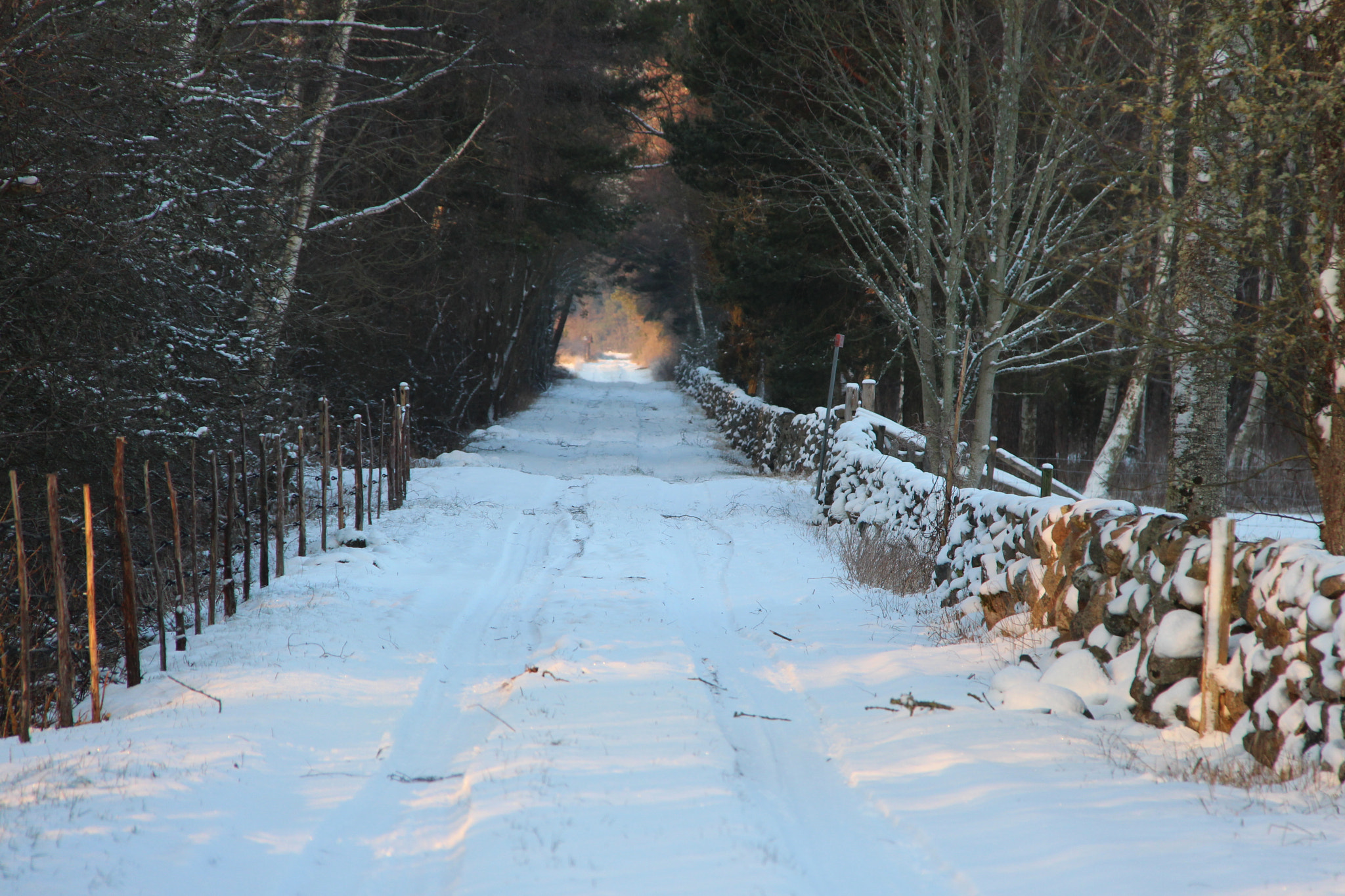 Canon EF-S 18-200mm F3.5-5.6 IS sample photo. Roes kvior photography