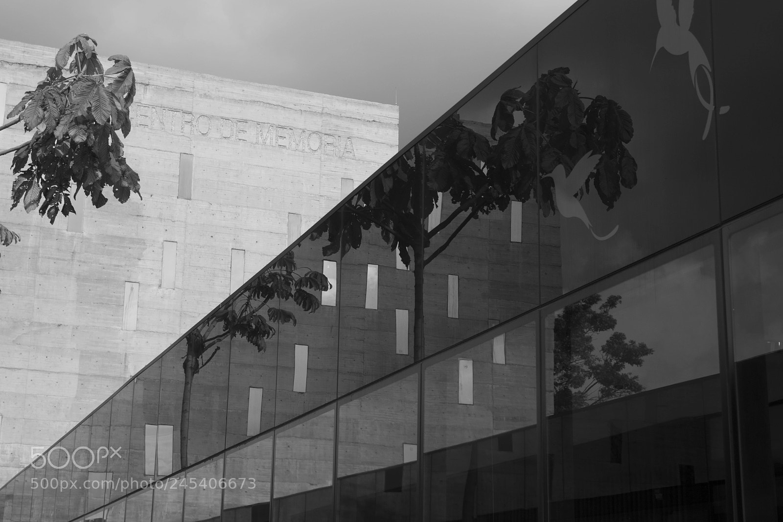 Nikon D3100 sample photo. Tonos grises en centro photography