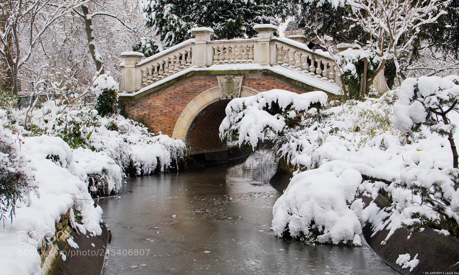 Canon EOS 77D (EOS 9000D / EOS 770D) sample photo. Snow photography