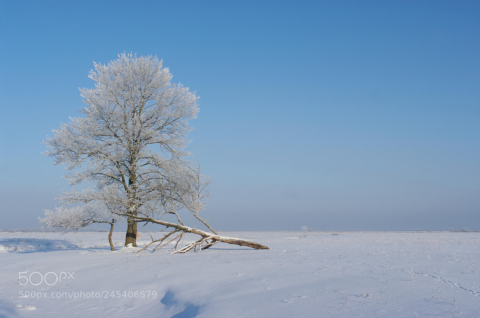 Pentax K20D sample photo. Winter landscape photography