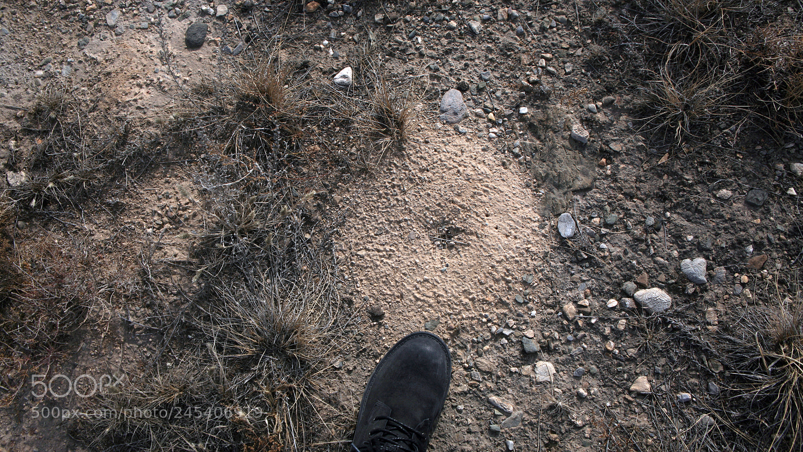 Canon EOS 5D sample photo. Untitled photography