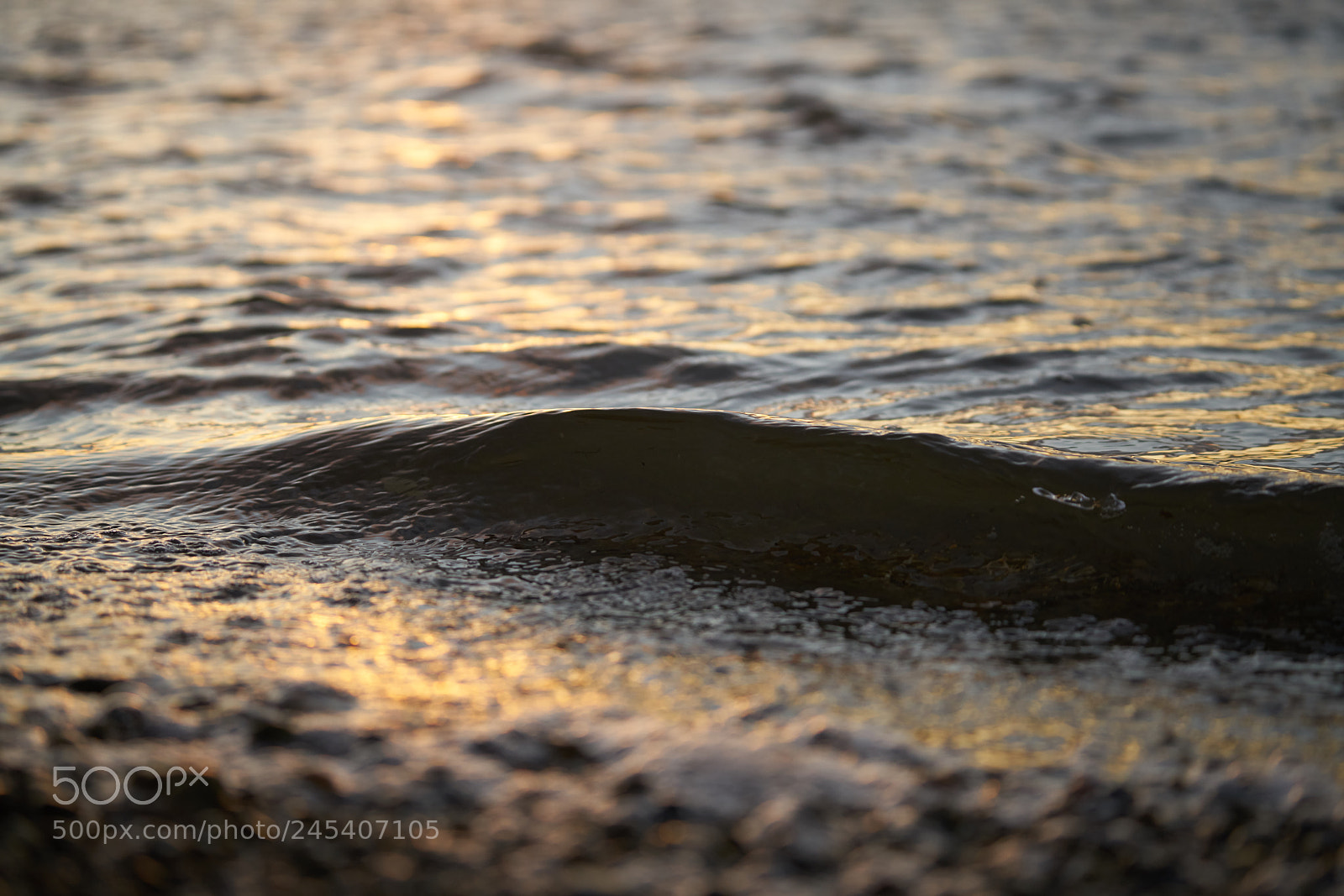Sony a7R II sample photo. "shimmer" photography