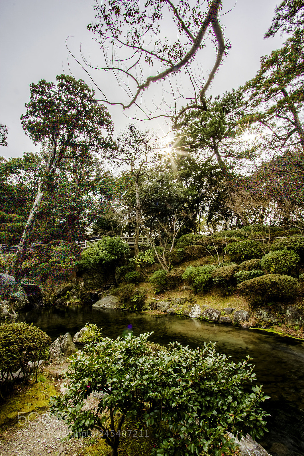 Canon EOS 60D sample photo. Wakayama garden photography