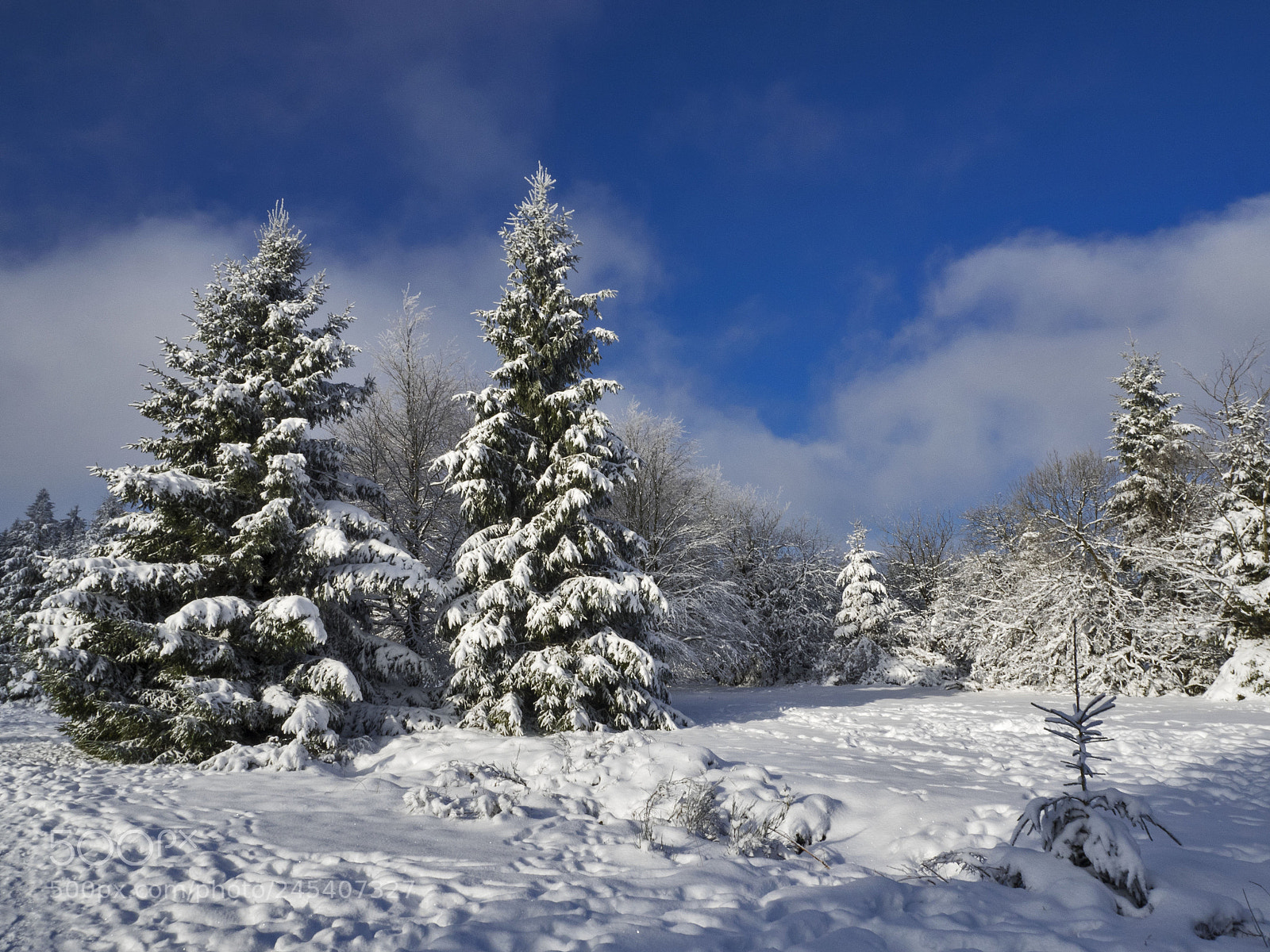 Olympus OM-D E-M1 sample photo. Winterscape on the high photography