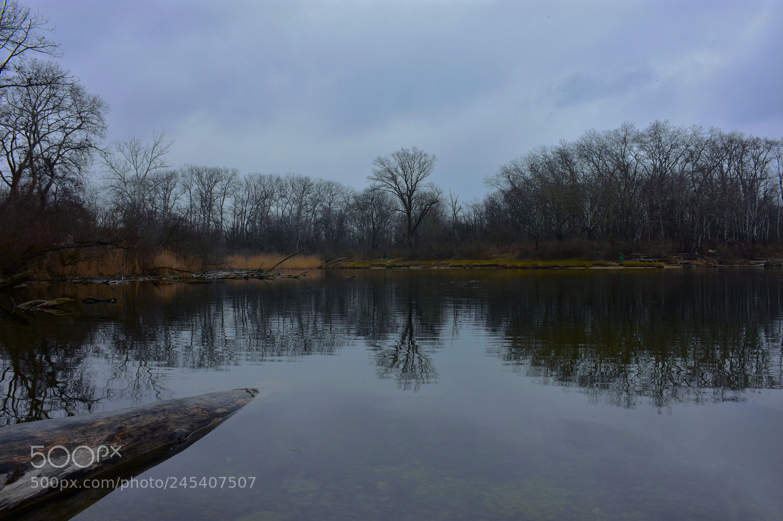 Nikon D7200 sample photo. Bleak photography