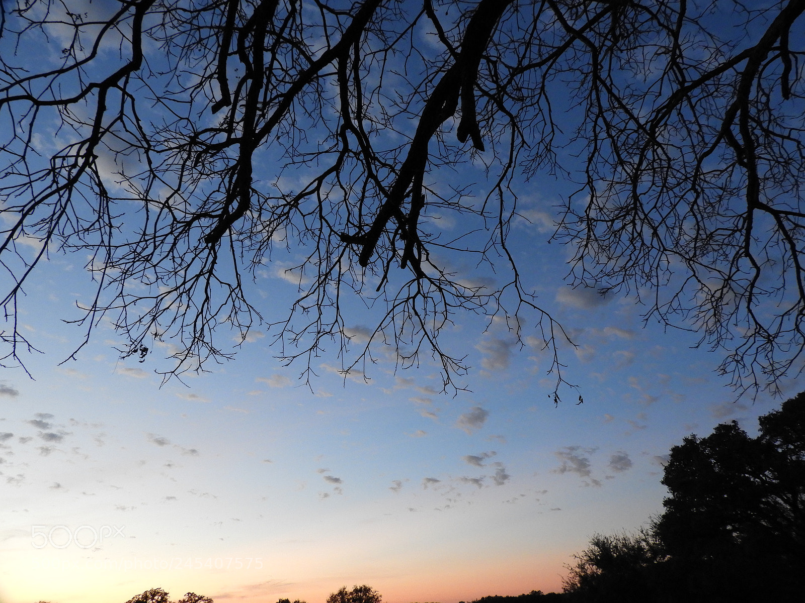 Nikon Coolpix B700 sample photo. Sunset from under the photography