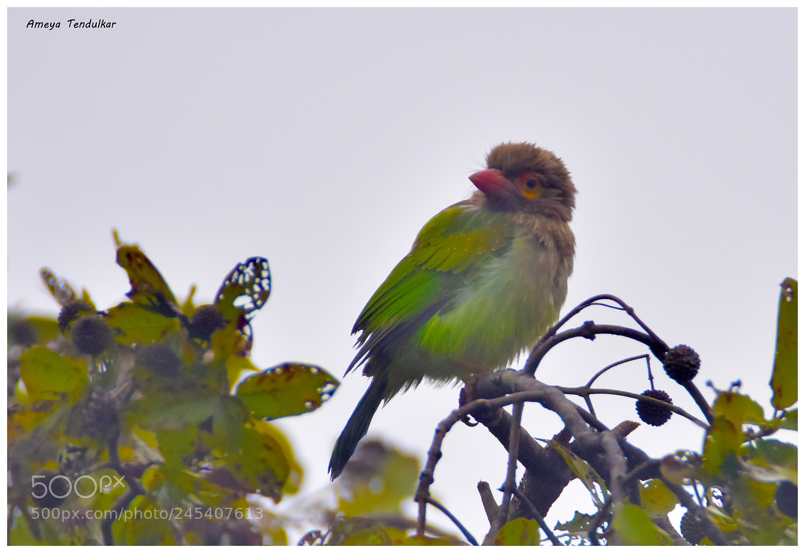 Nikon D5500 sample photo. () photography