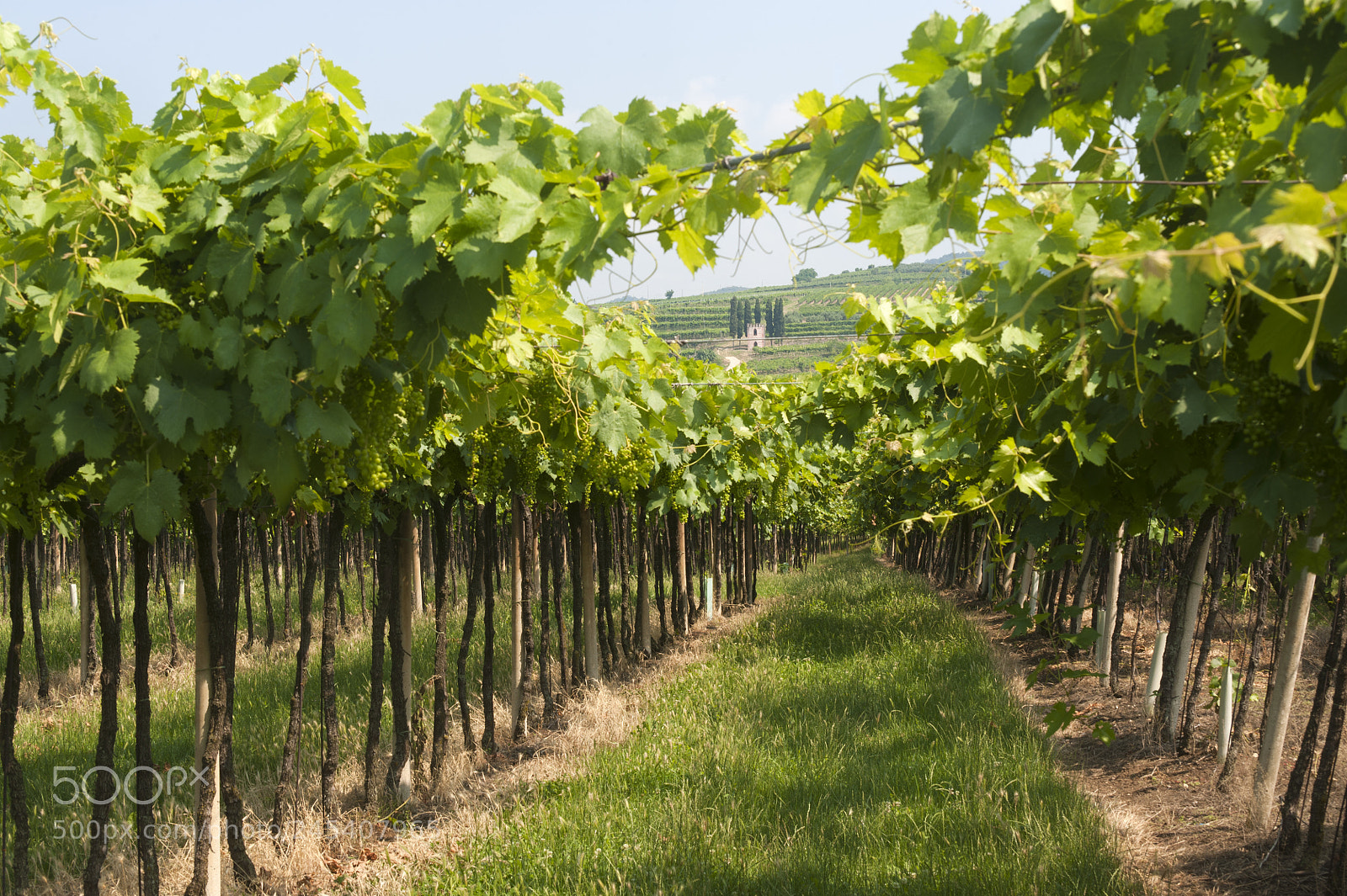 Nikon D700 sample photo. Lessinia verona, veneto, italy photography
