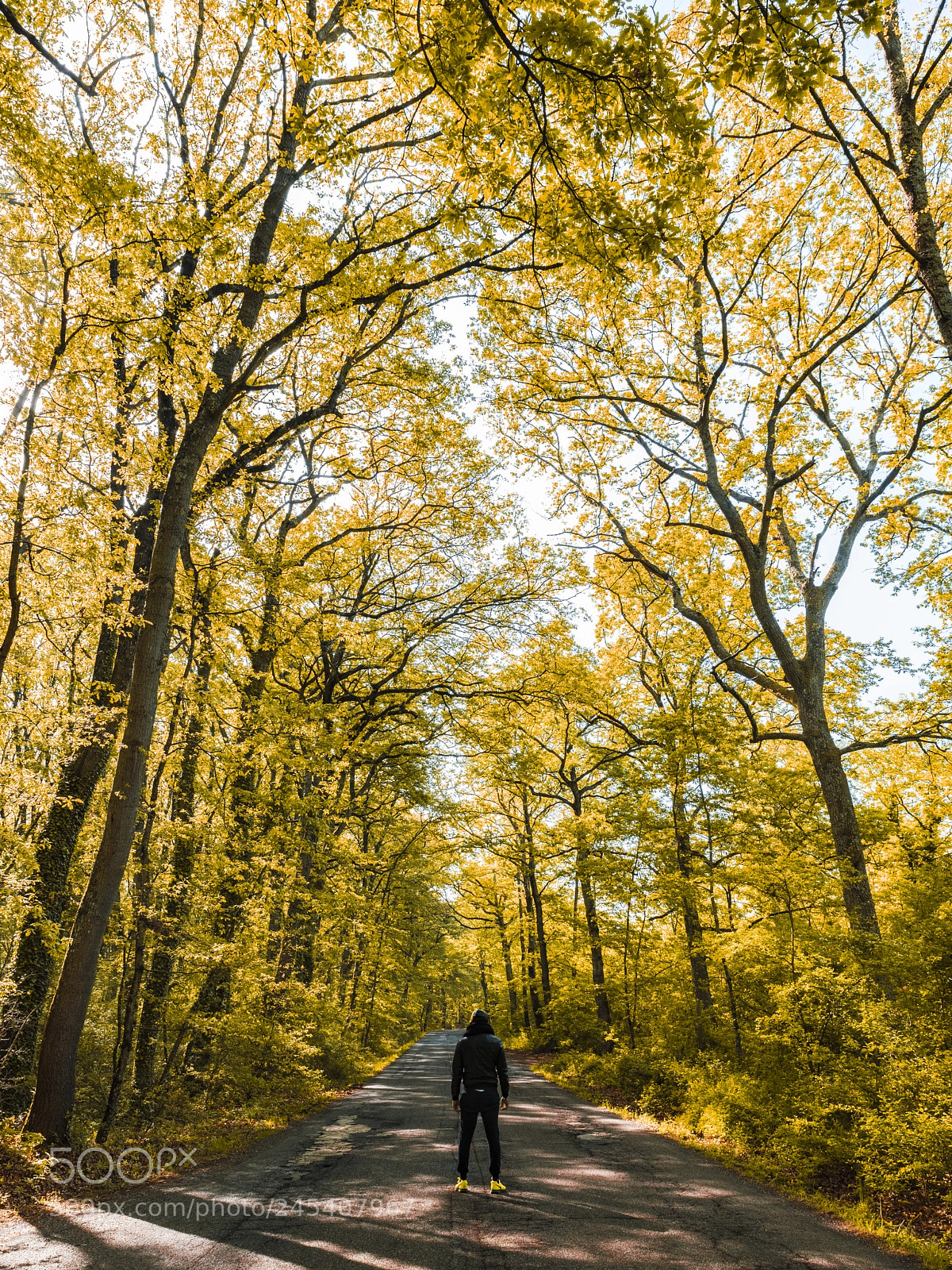 Nikon D810 sample photo. Never go back photography