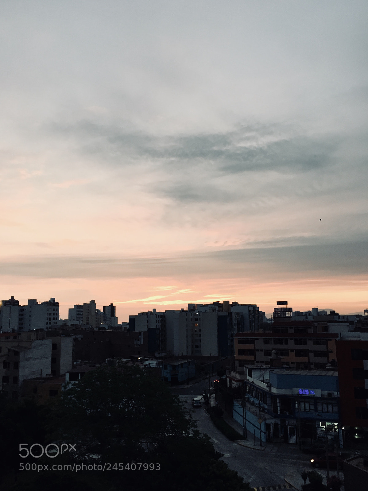 Apple iPhone 6 sample photo. Untitled photography