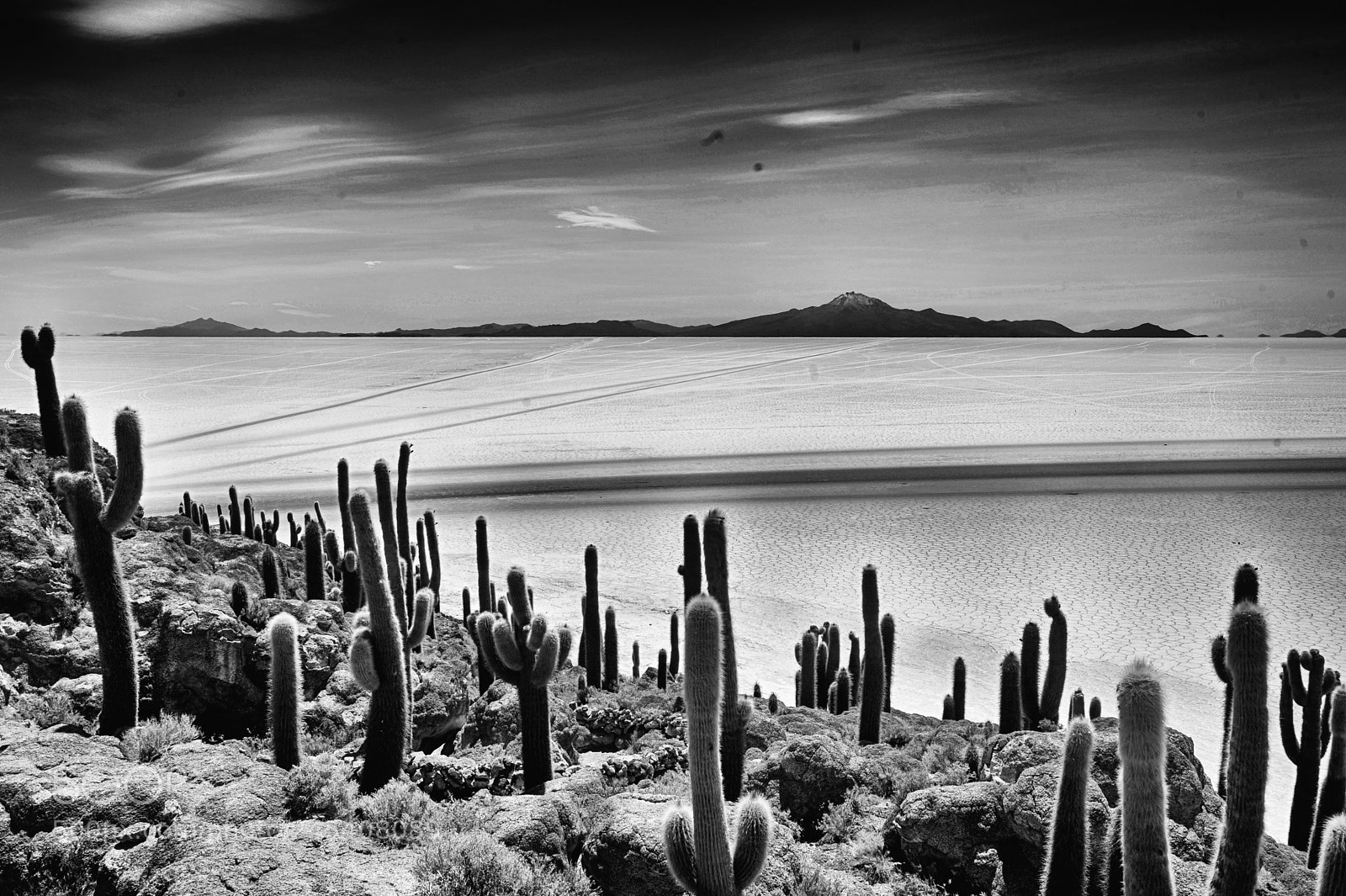 Nikon D700 sample photo. Bolivie salar d'uyuni photography