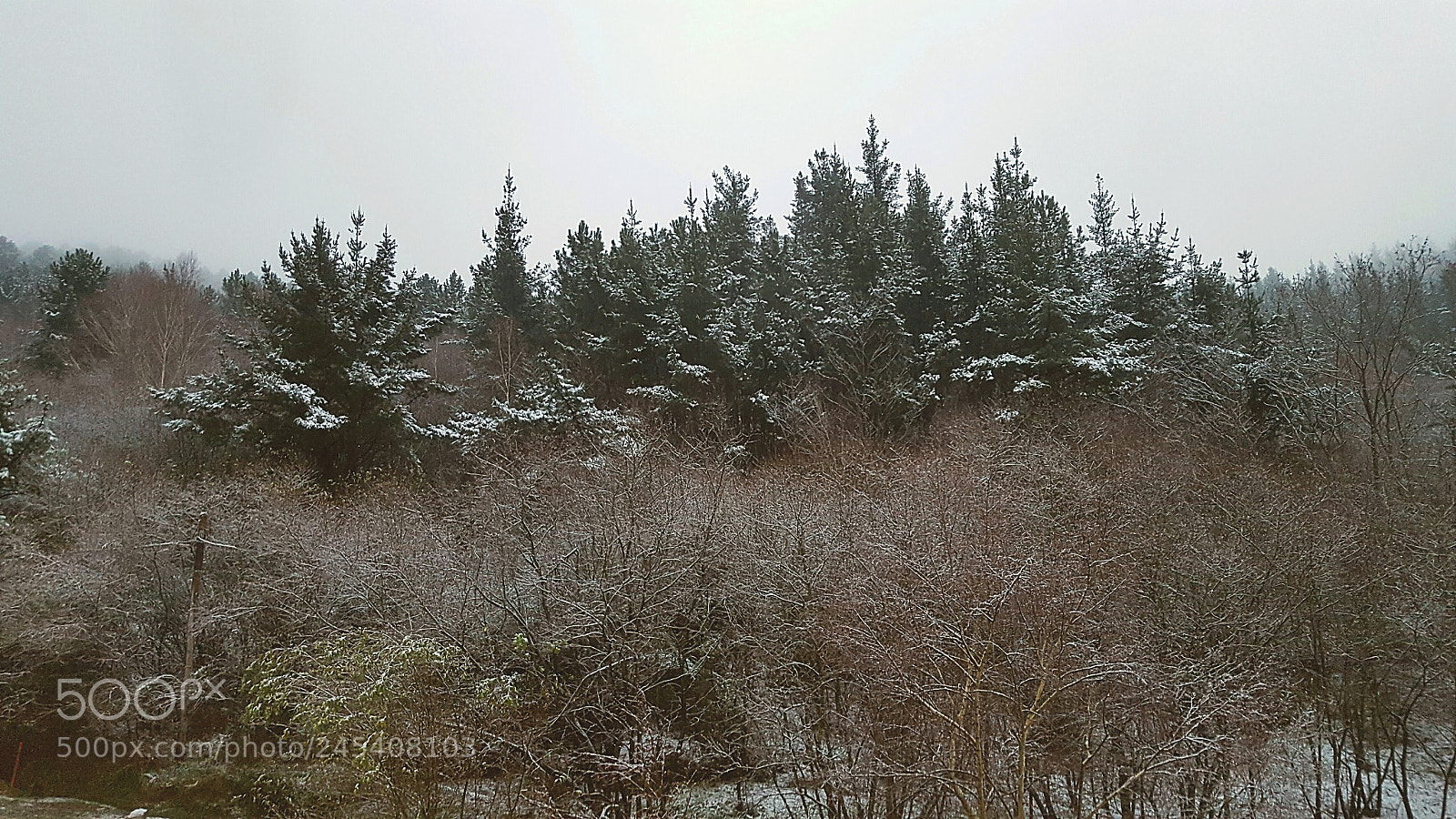 Samsung Galaxy S6 sample photo. Untitled photography